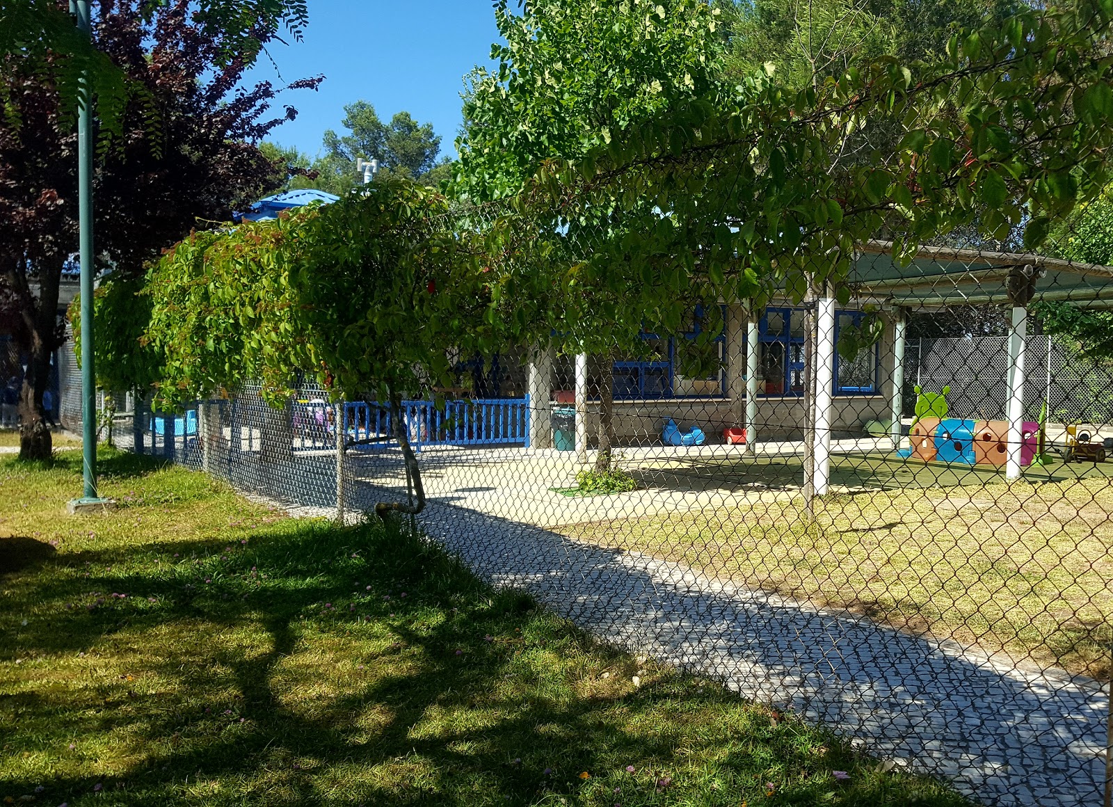 Photo 3