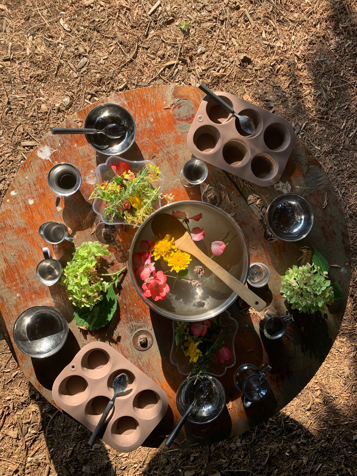 The Wonder Garden: A Nature Play Preschool