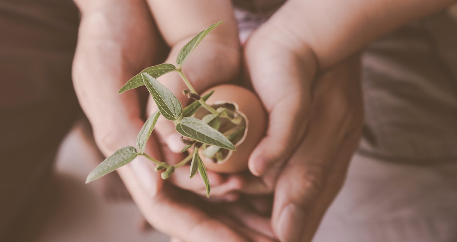 Montessori Early Learning Centre (MELC)
