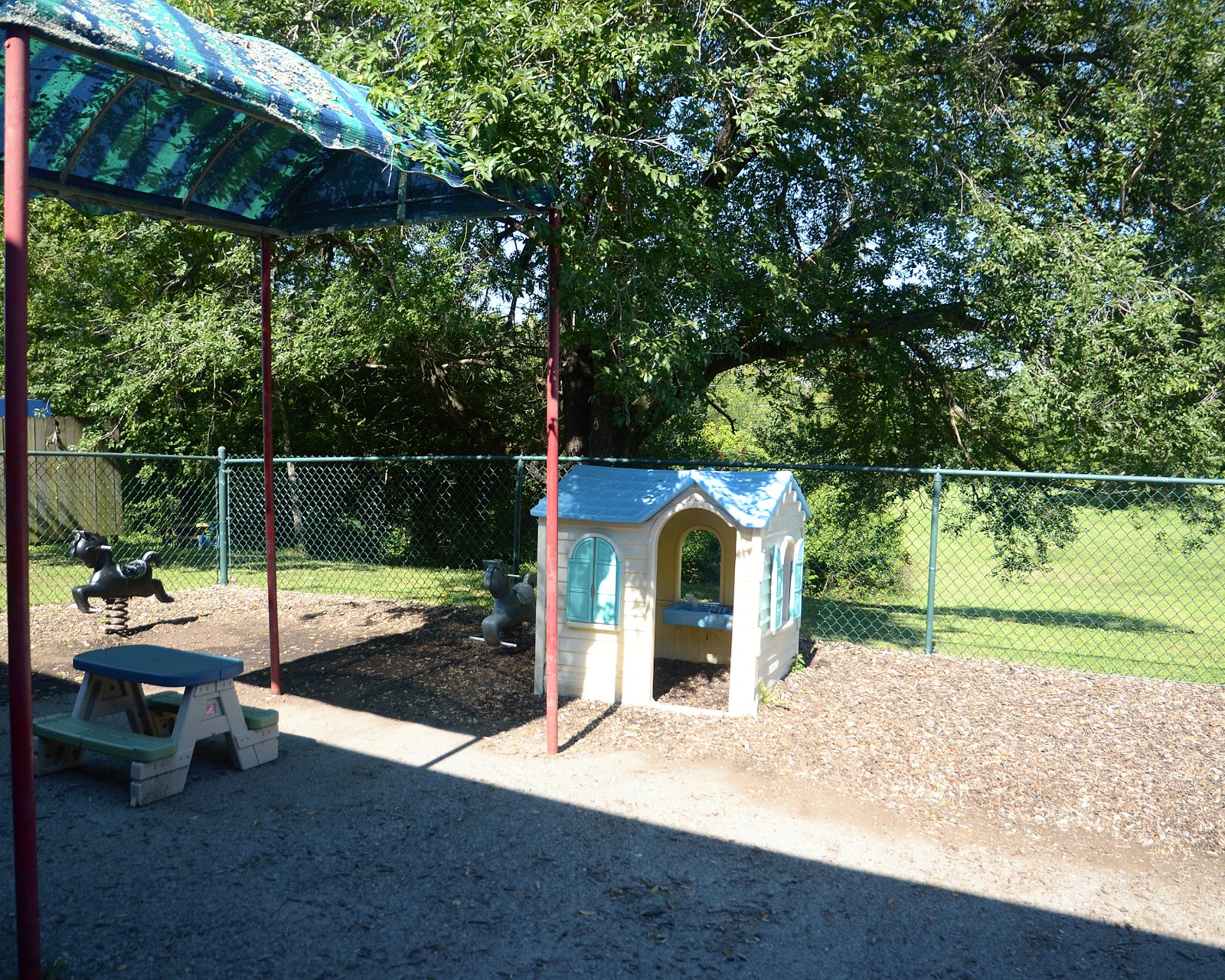 Photo 4