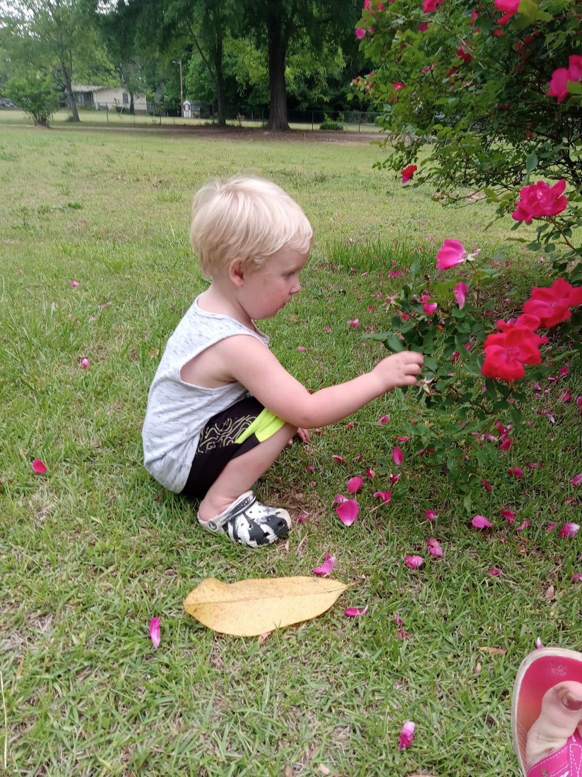 SSA Headquarters Child Development Center Operated by La Petite