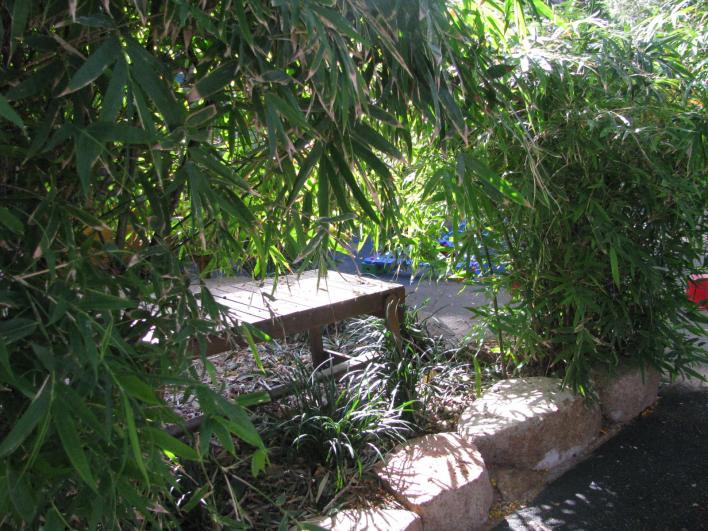 Burleigh Heads Community Kindergarten