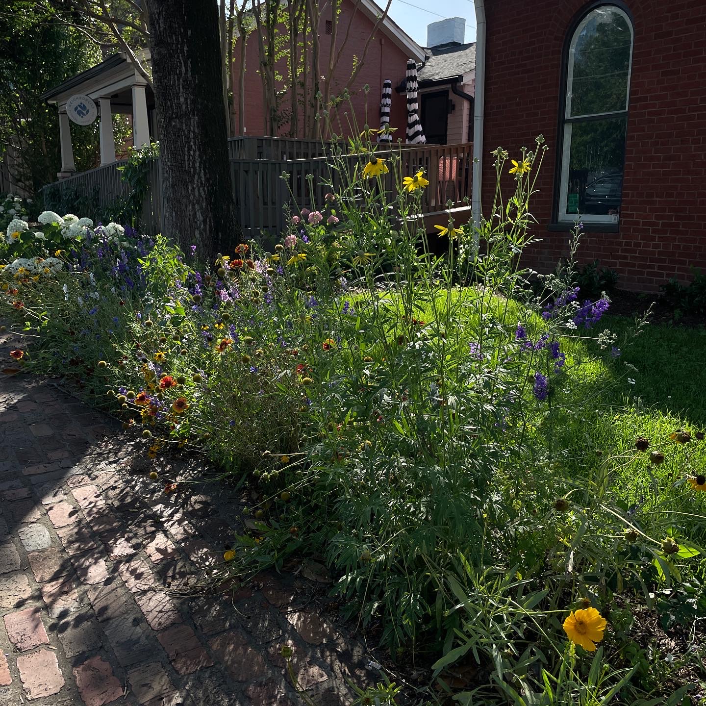 Sage Montessori School of Nashville