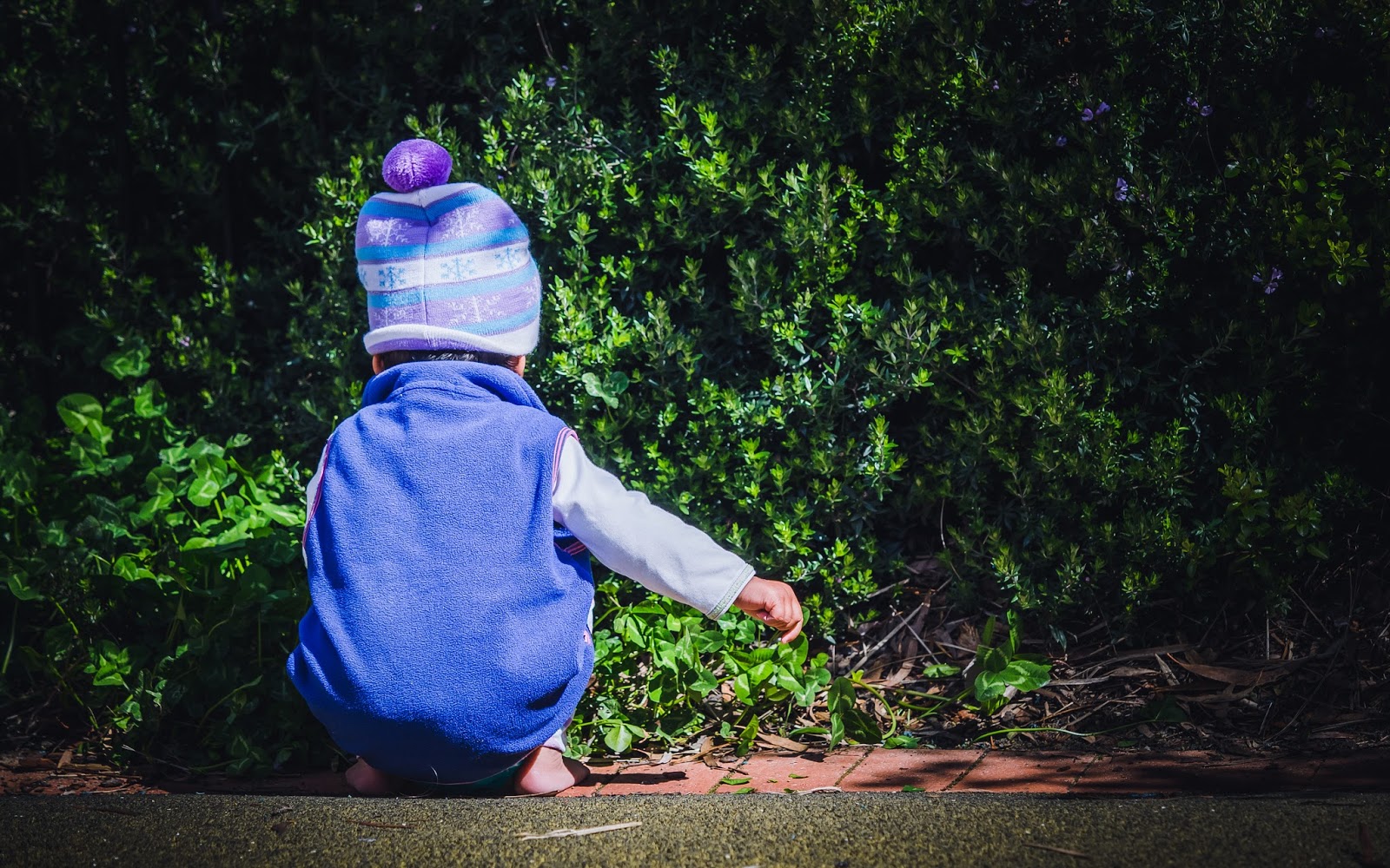 Harrison Early Childhood Centre