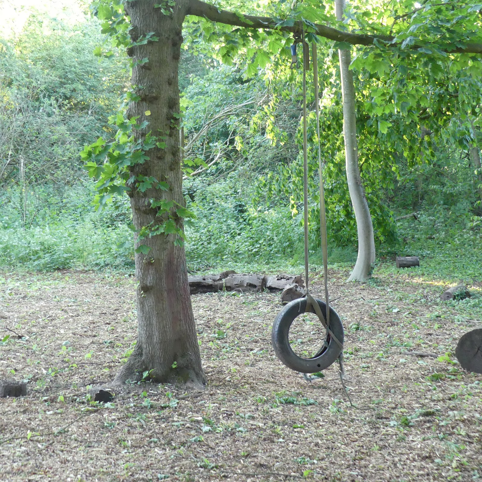 Photo 4