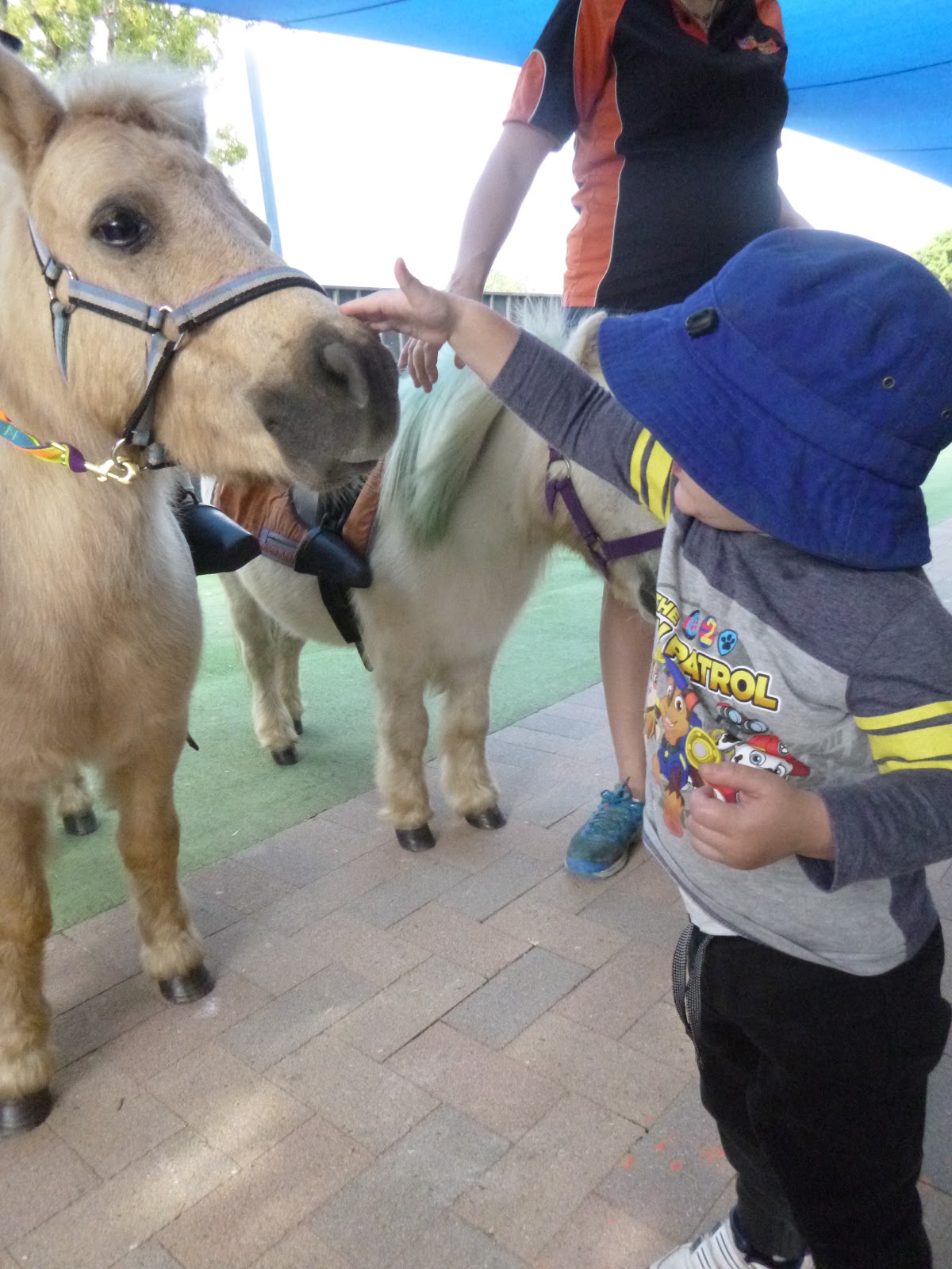 Bright Horizons Australia Childcare Charters Towers