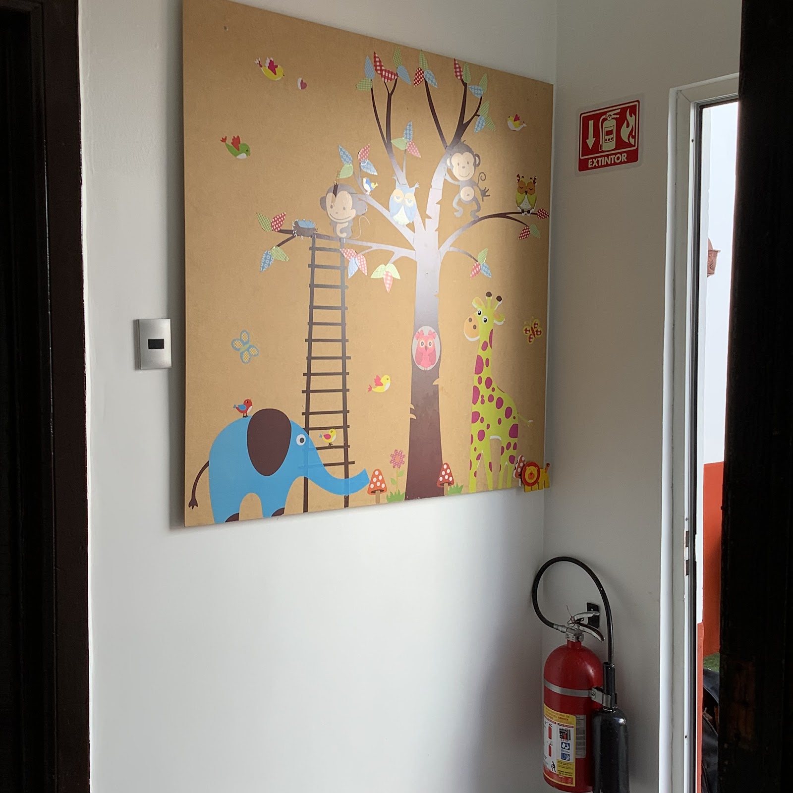 Photo 7