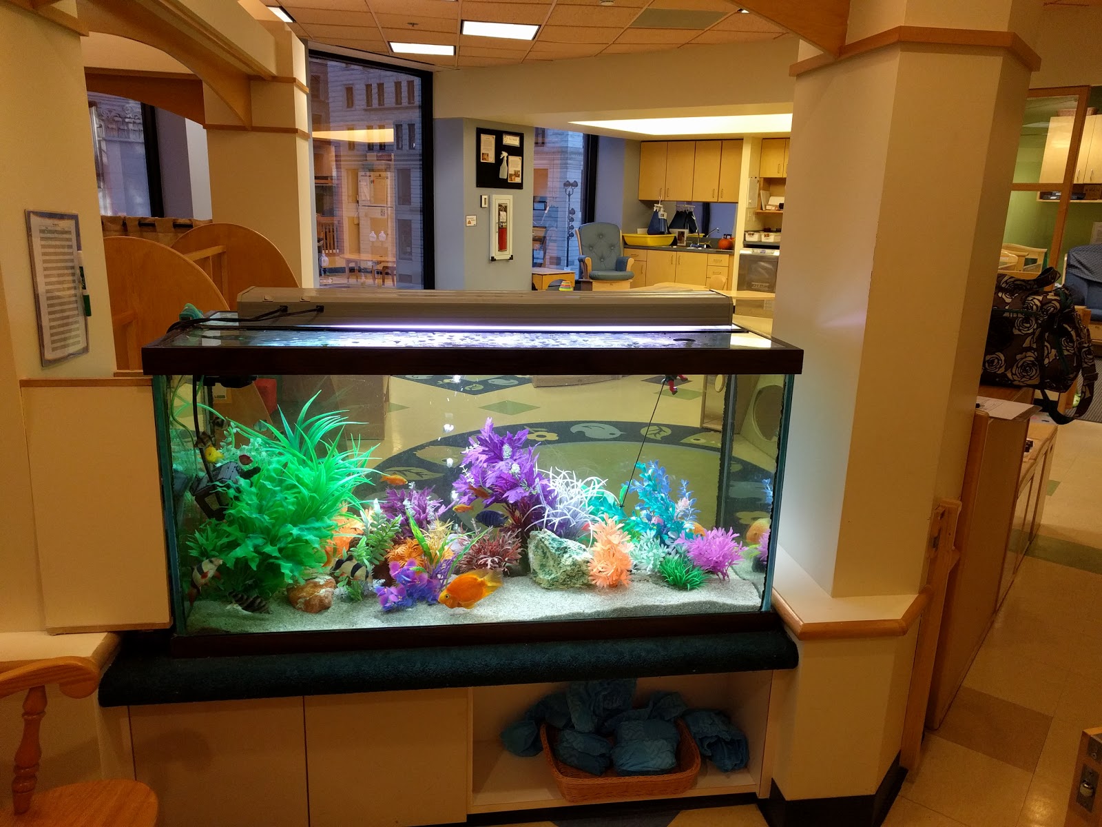 The Children's Place at Sixty State Street + Back-Up Care