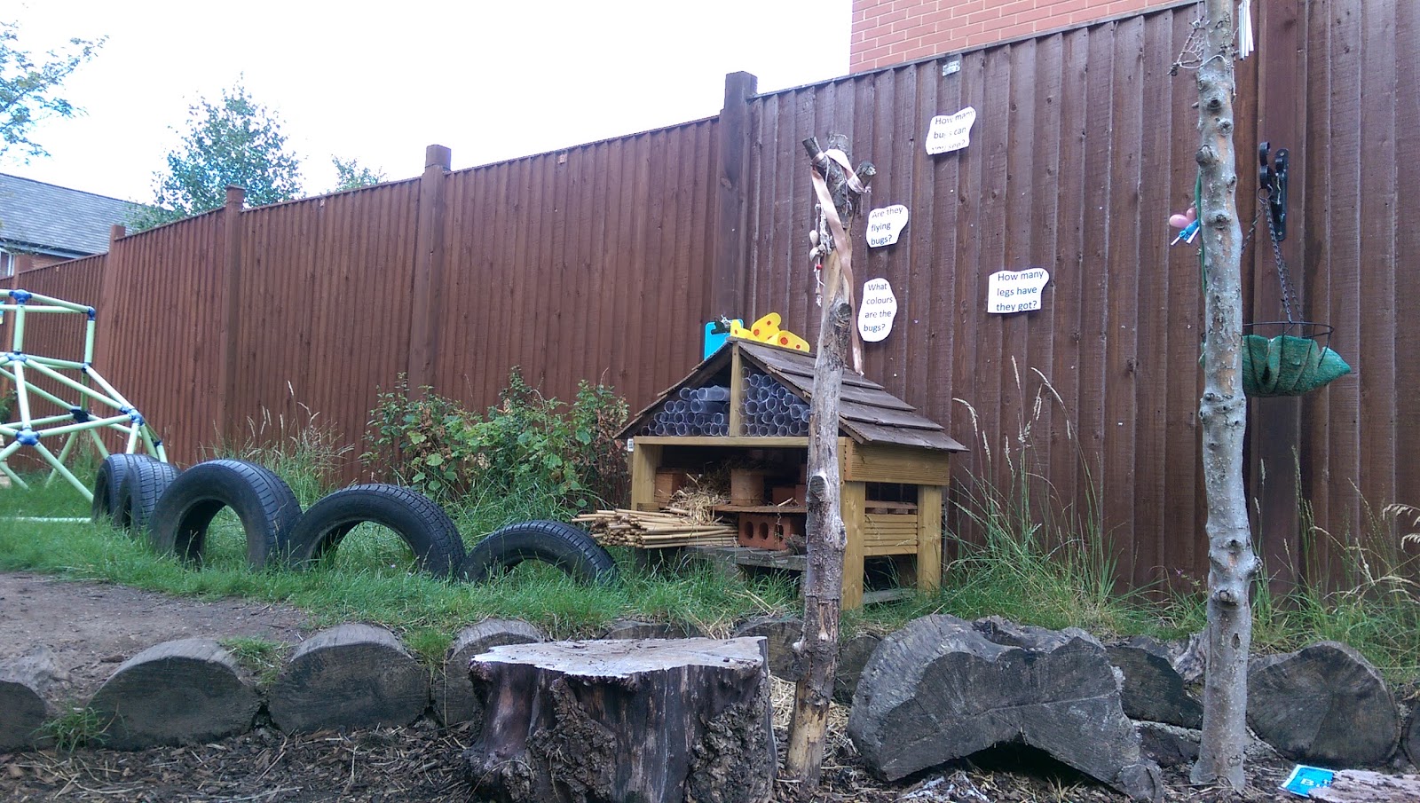 Photo 5