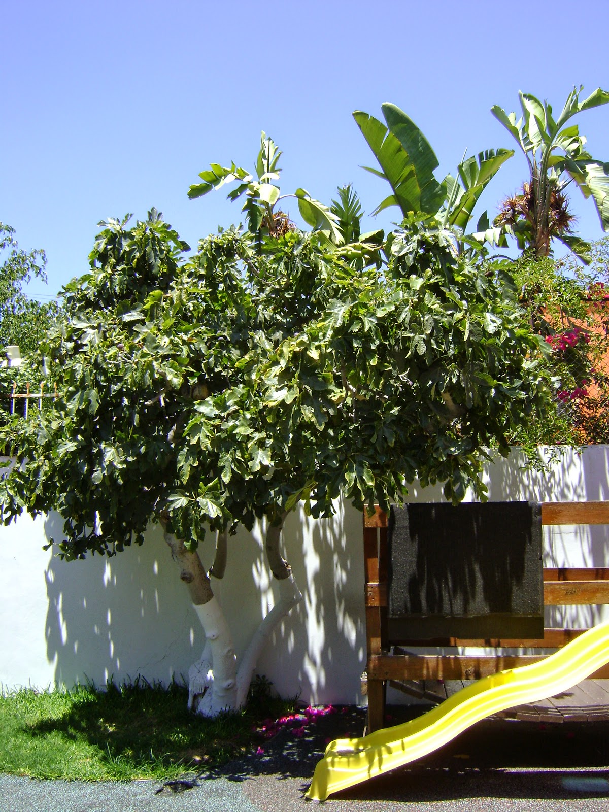 Colegio Montessori Paolini