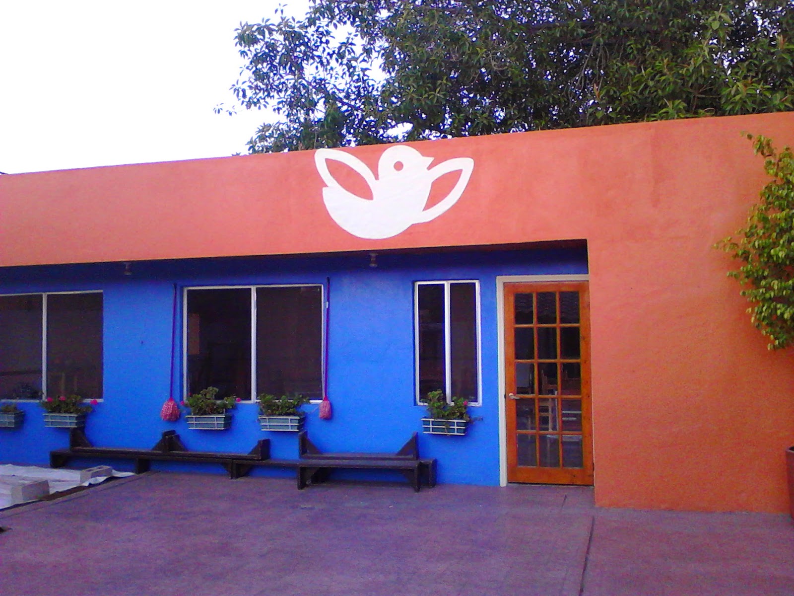 Photo 2