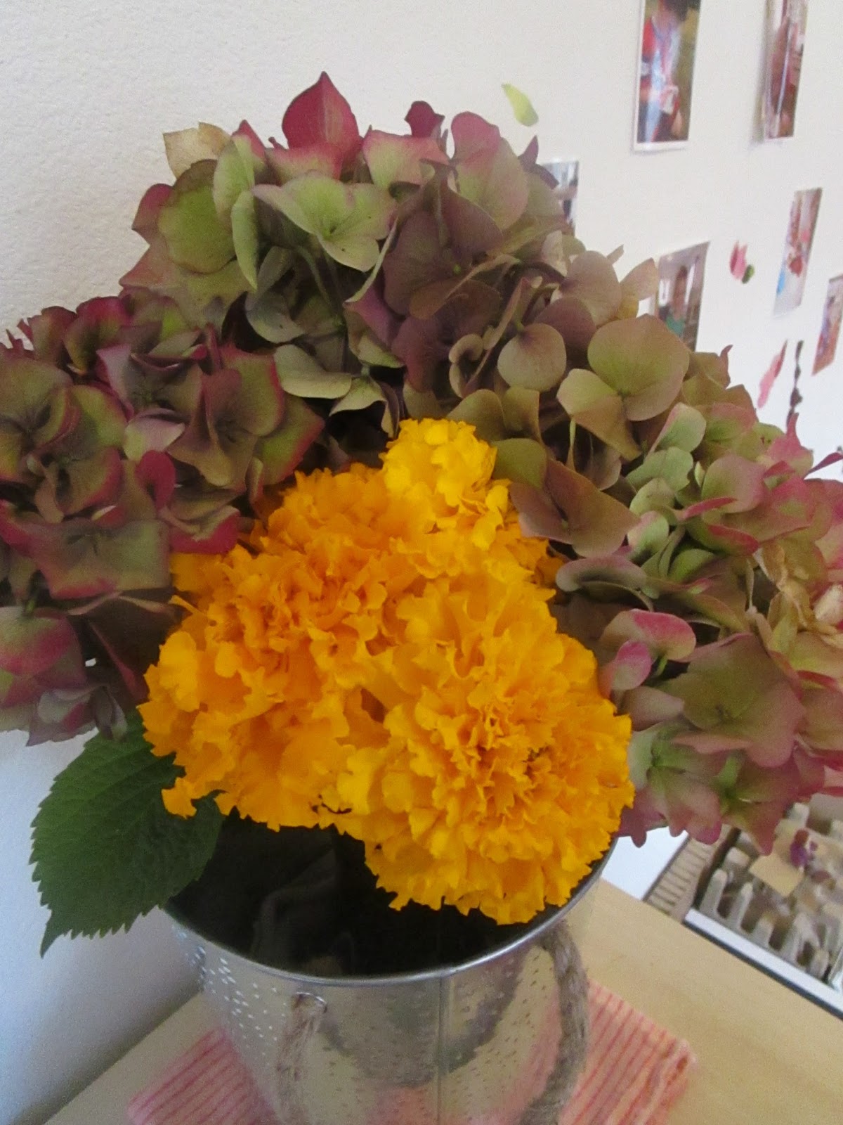 The Marigold School of Early Learning: Specifically Designed For Children Ages 3-5!
