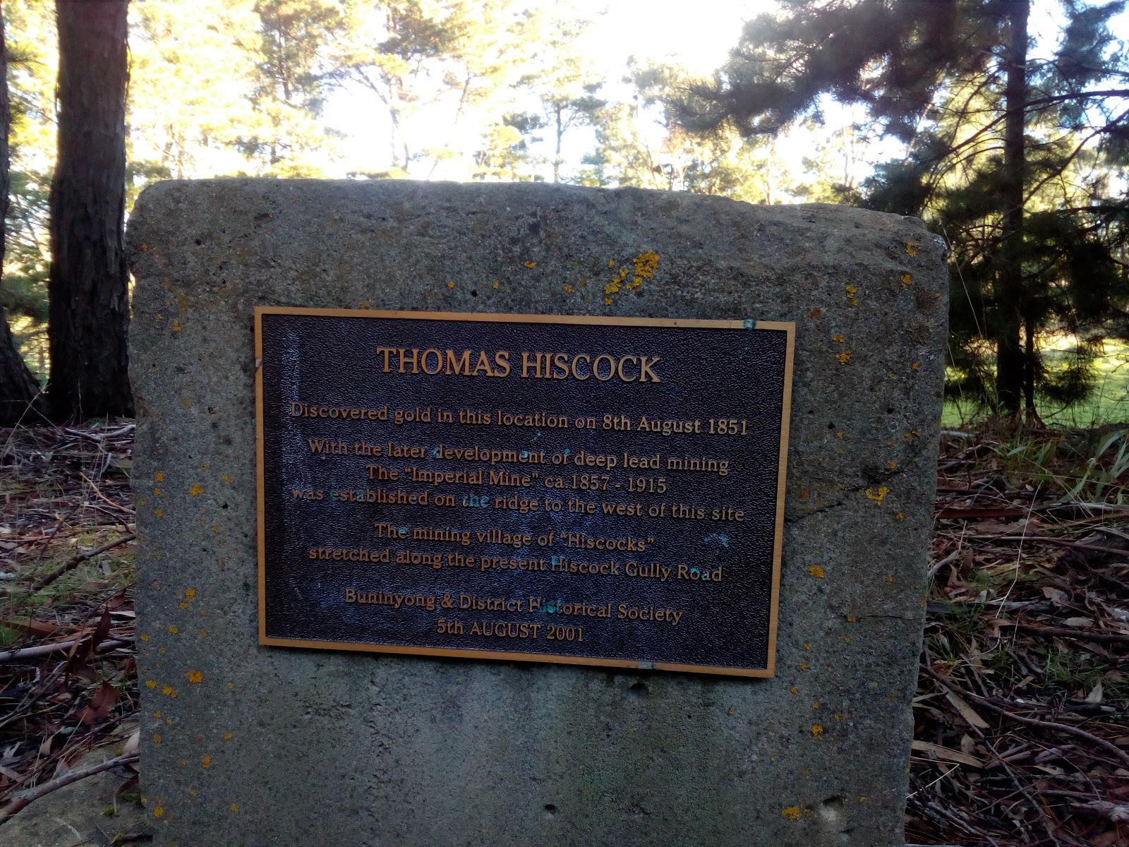 Photo 4