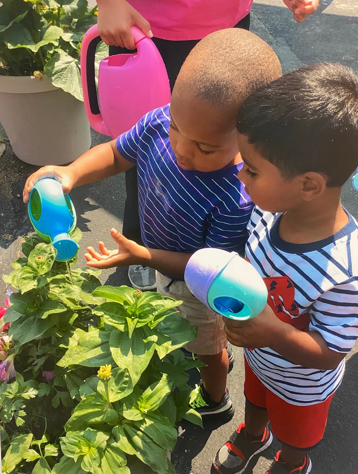 JO'S Early Learning Academy-North