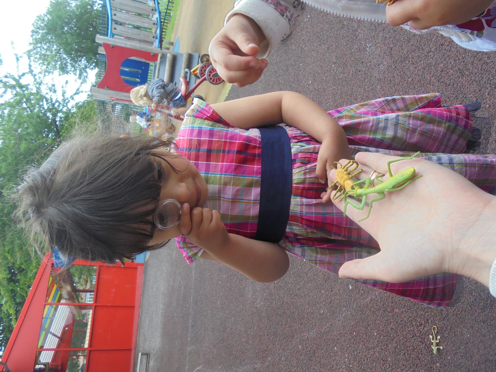 Photo 5