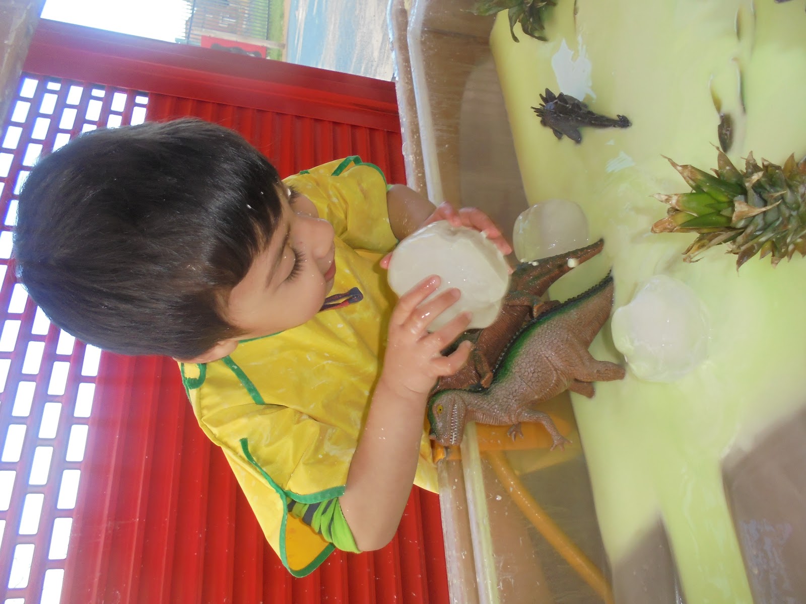 Photo 7