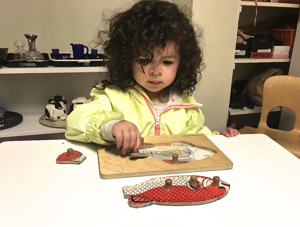 Auburn's House Montessori School Lic.274414337