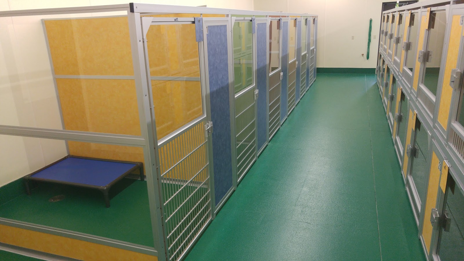 Creekside Pet Center