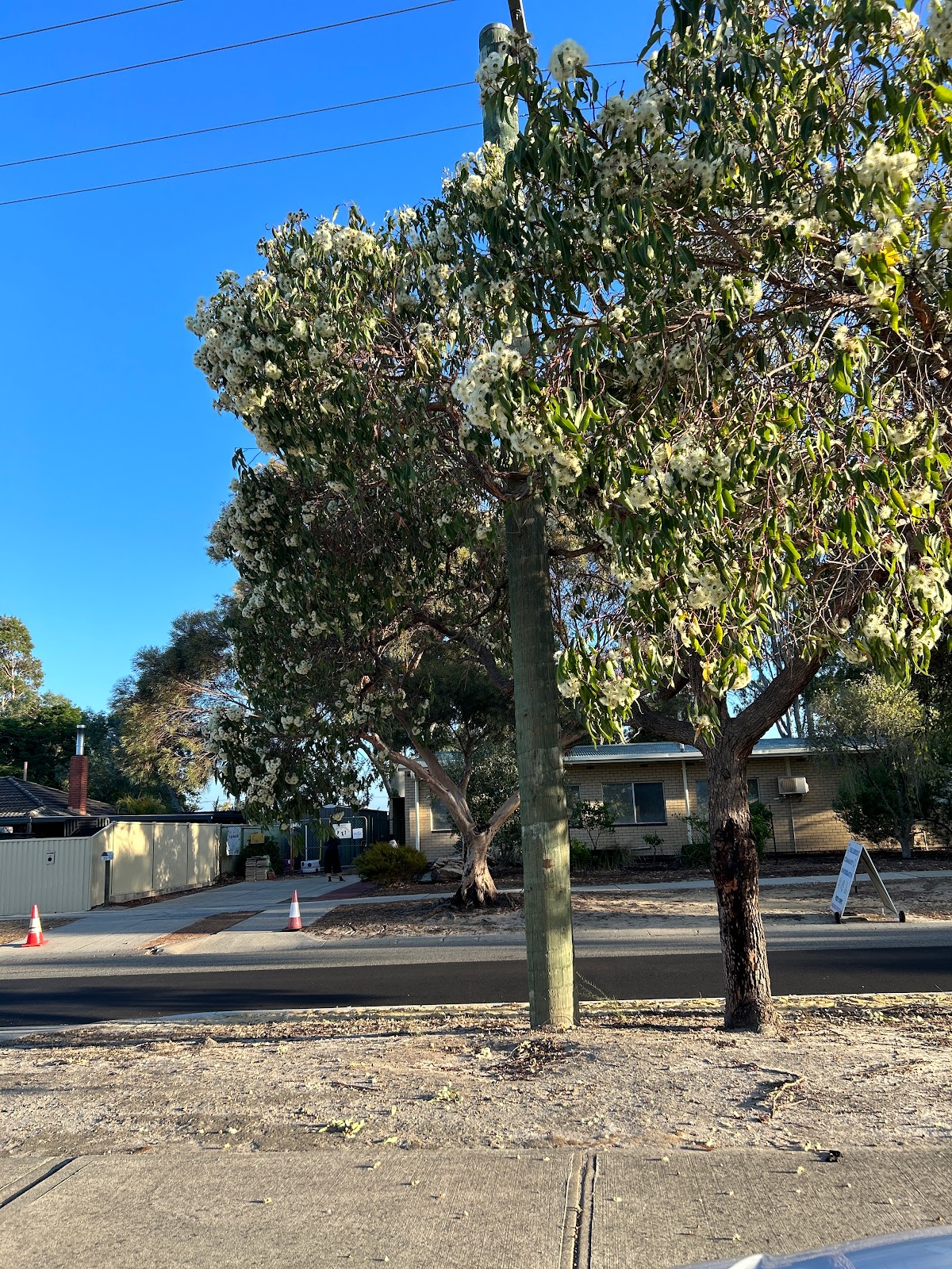 Bullsbrook Community Kindergarten