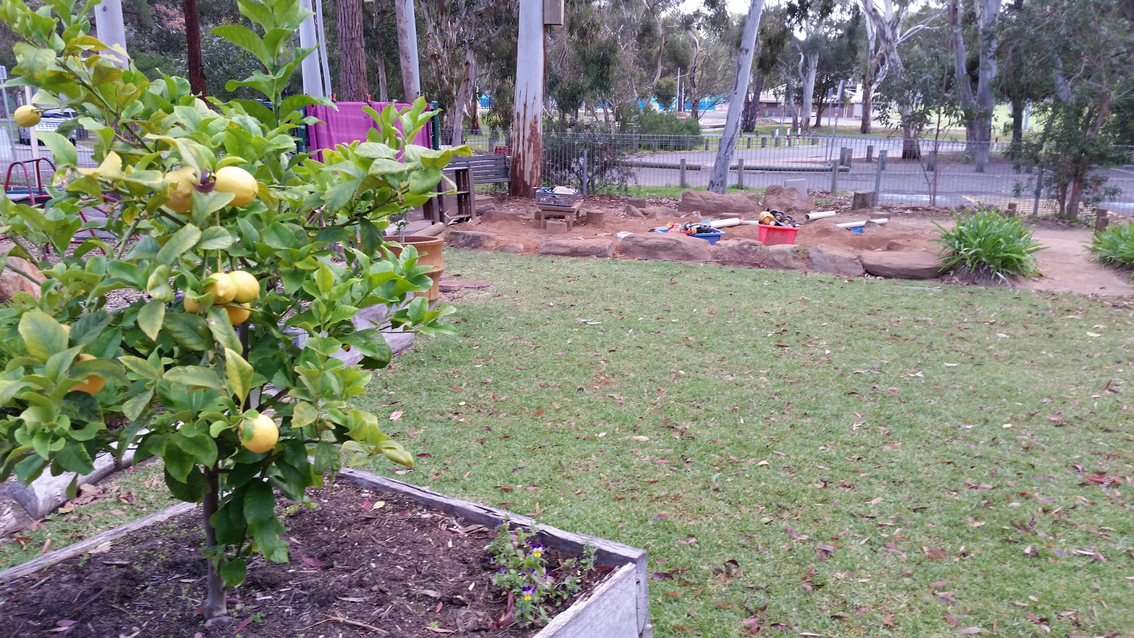 Photo 8