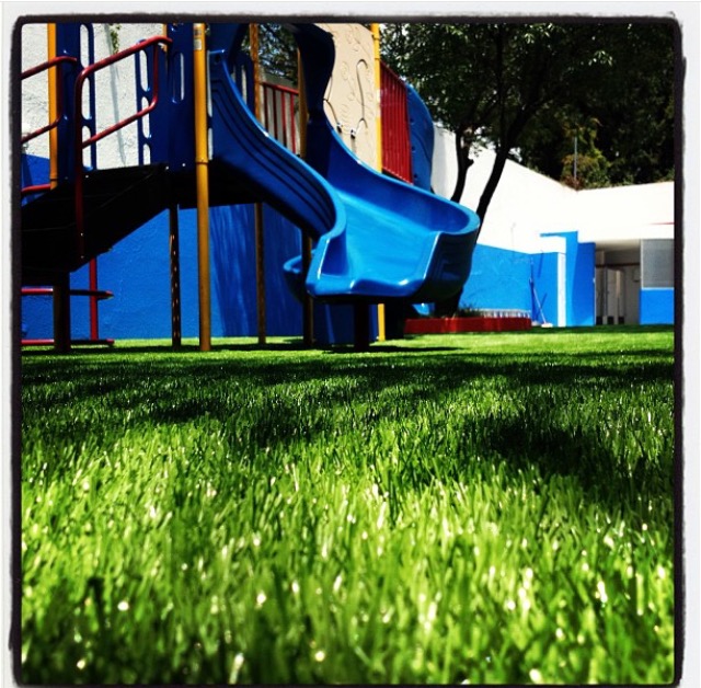 HONEYCOMB Centro De Estudio Infantil, A.C.