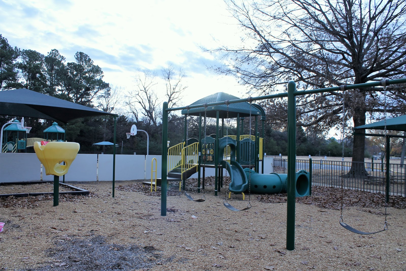 Photo 5