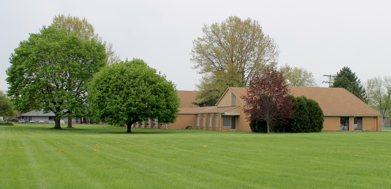 Photo 5
