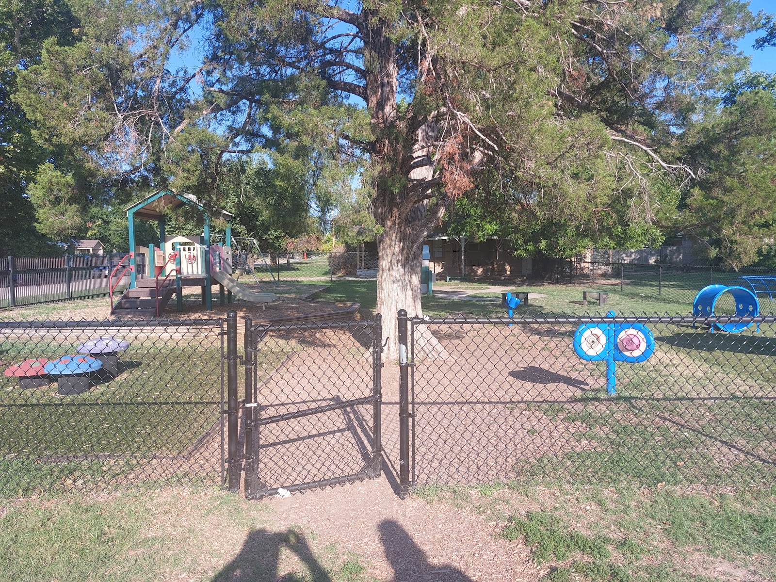 Photo 5