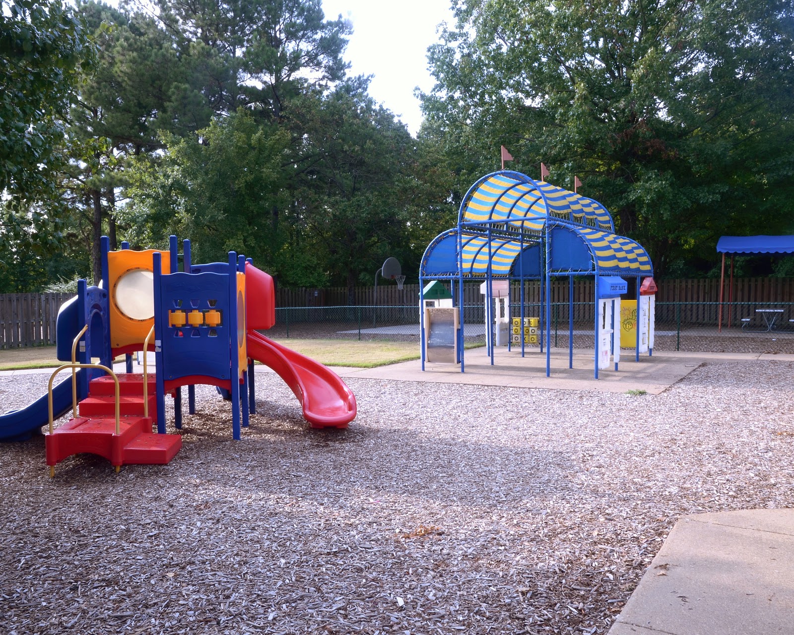 Photo 8
