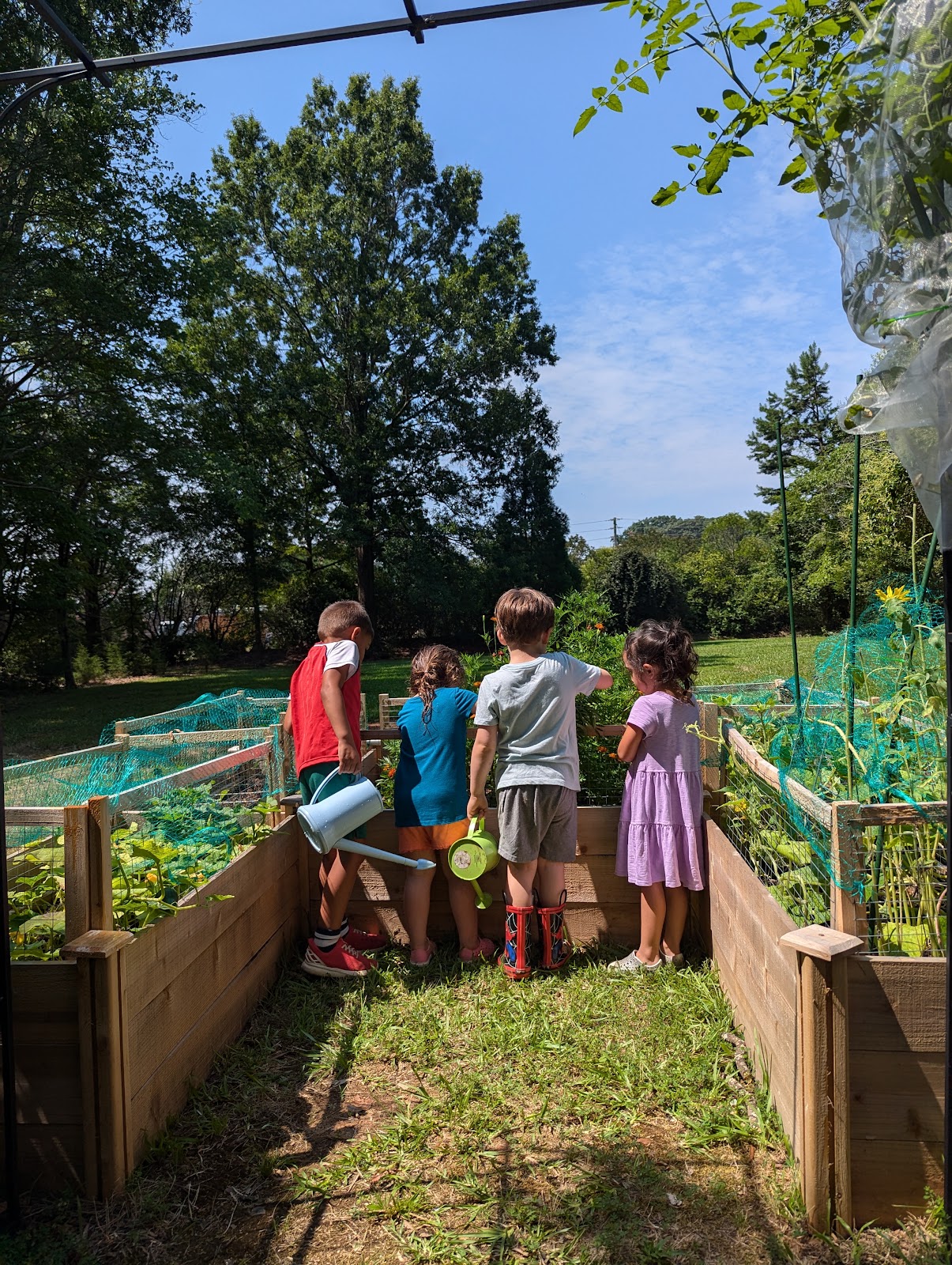 The Garden Progressive Preschool
