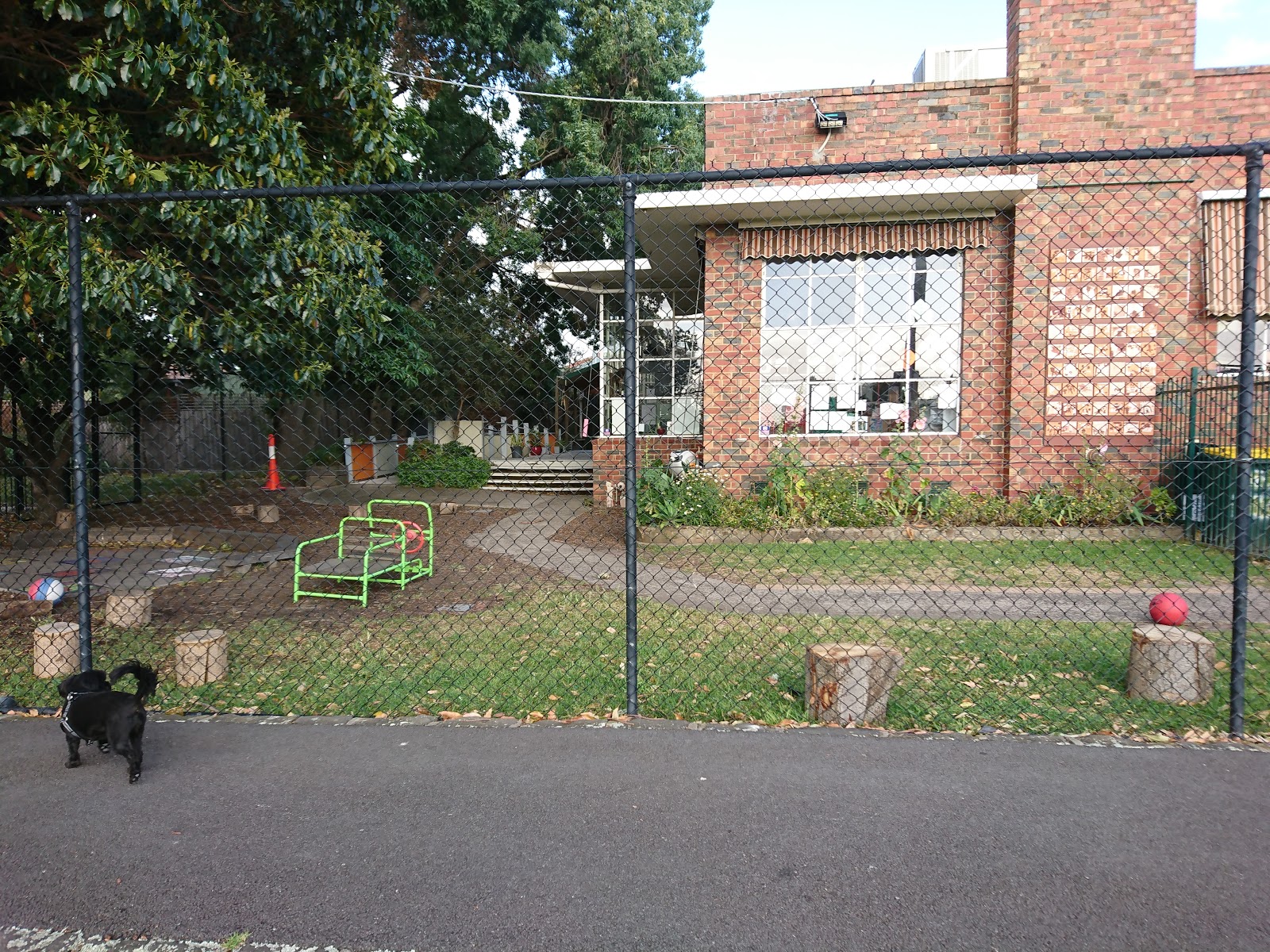 Photo 4