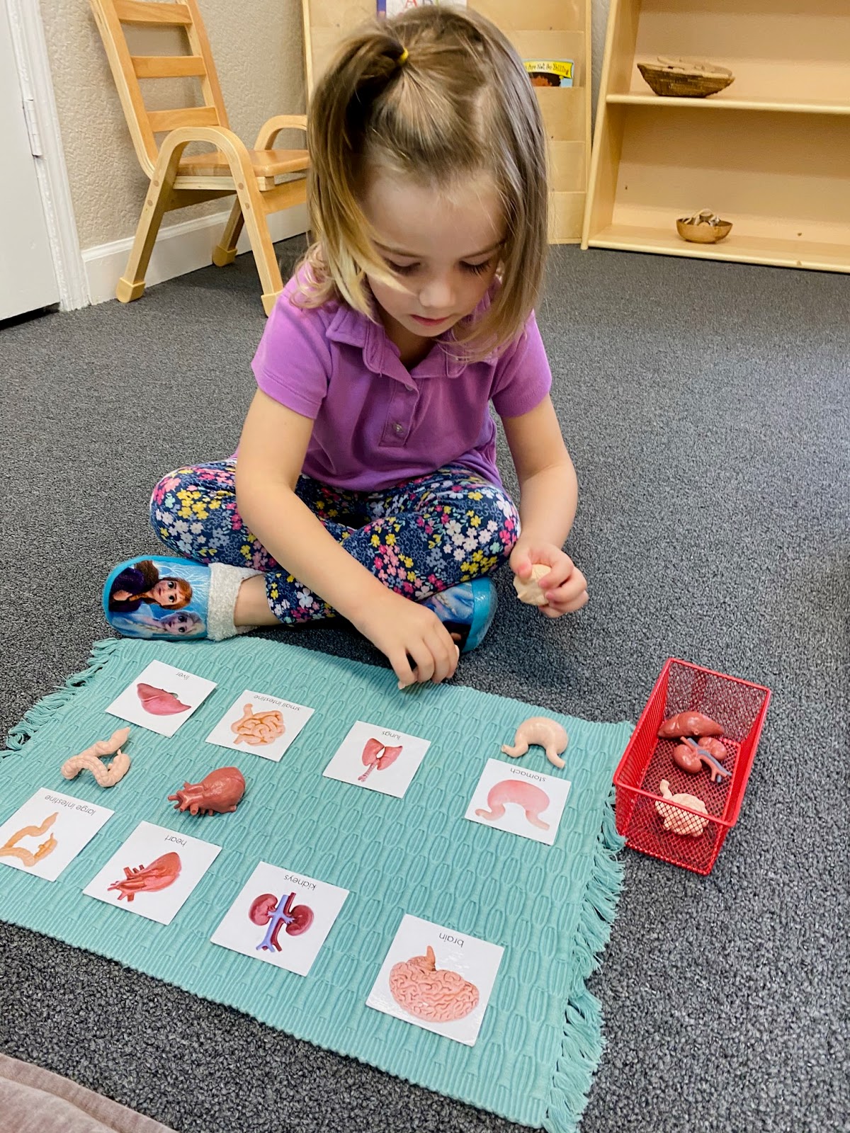 Montessori Schoolhouse