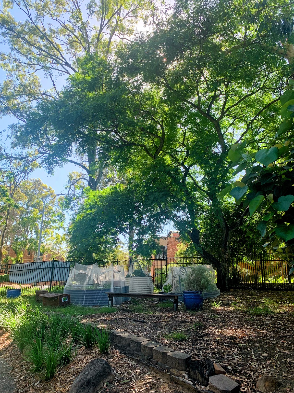 Campus Kindergarten