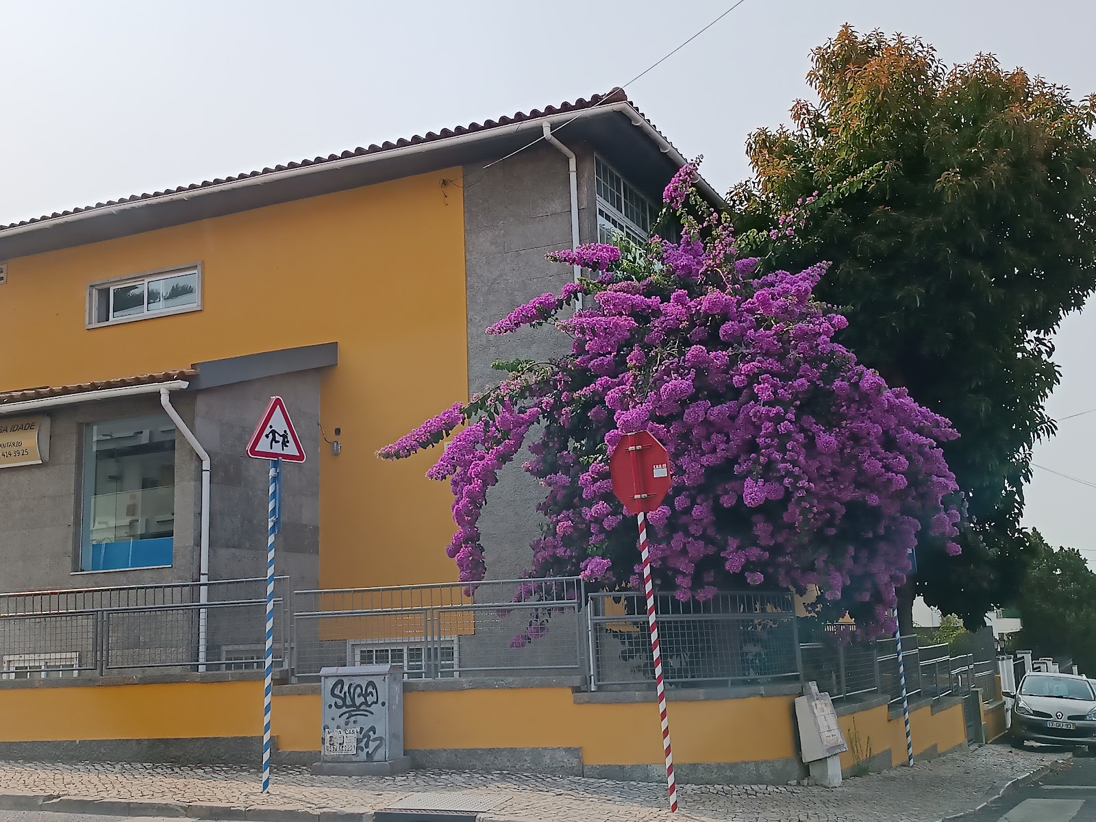Curiosa Idade