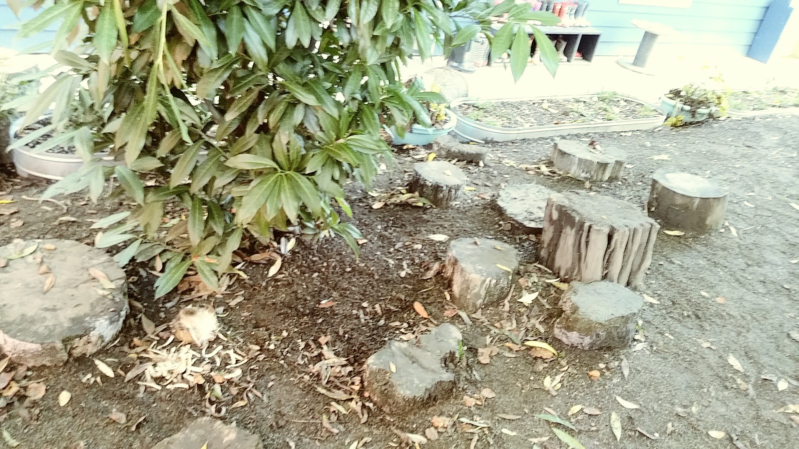 Photo 10