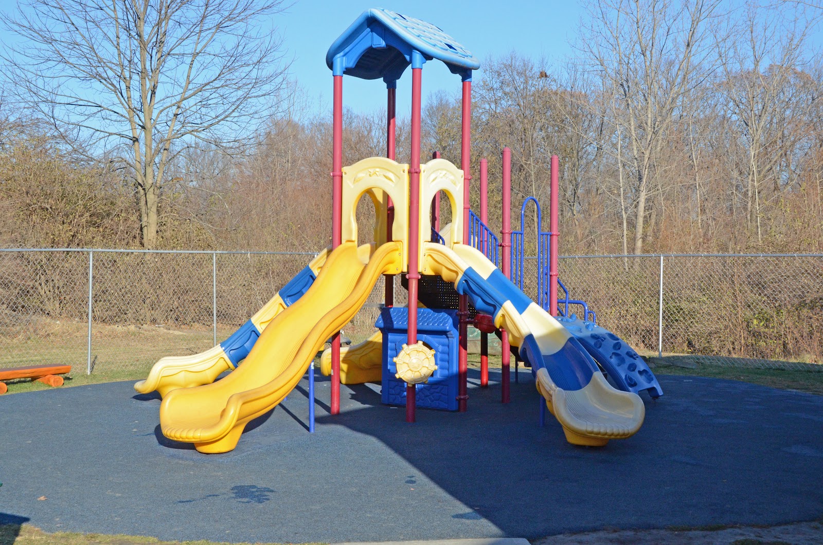 Photo 4