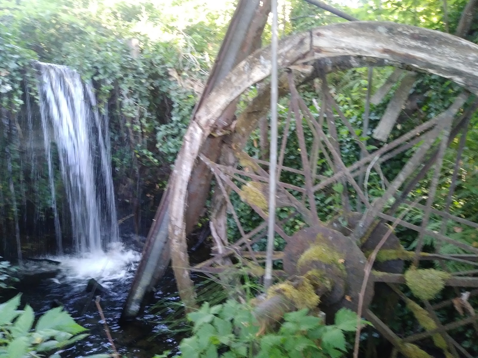 Photo 5