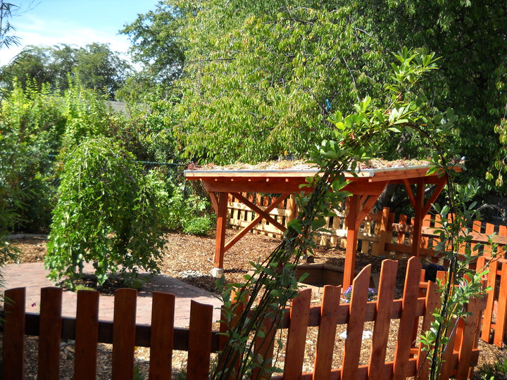 Photo 7