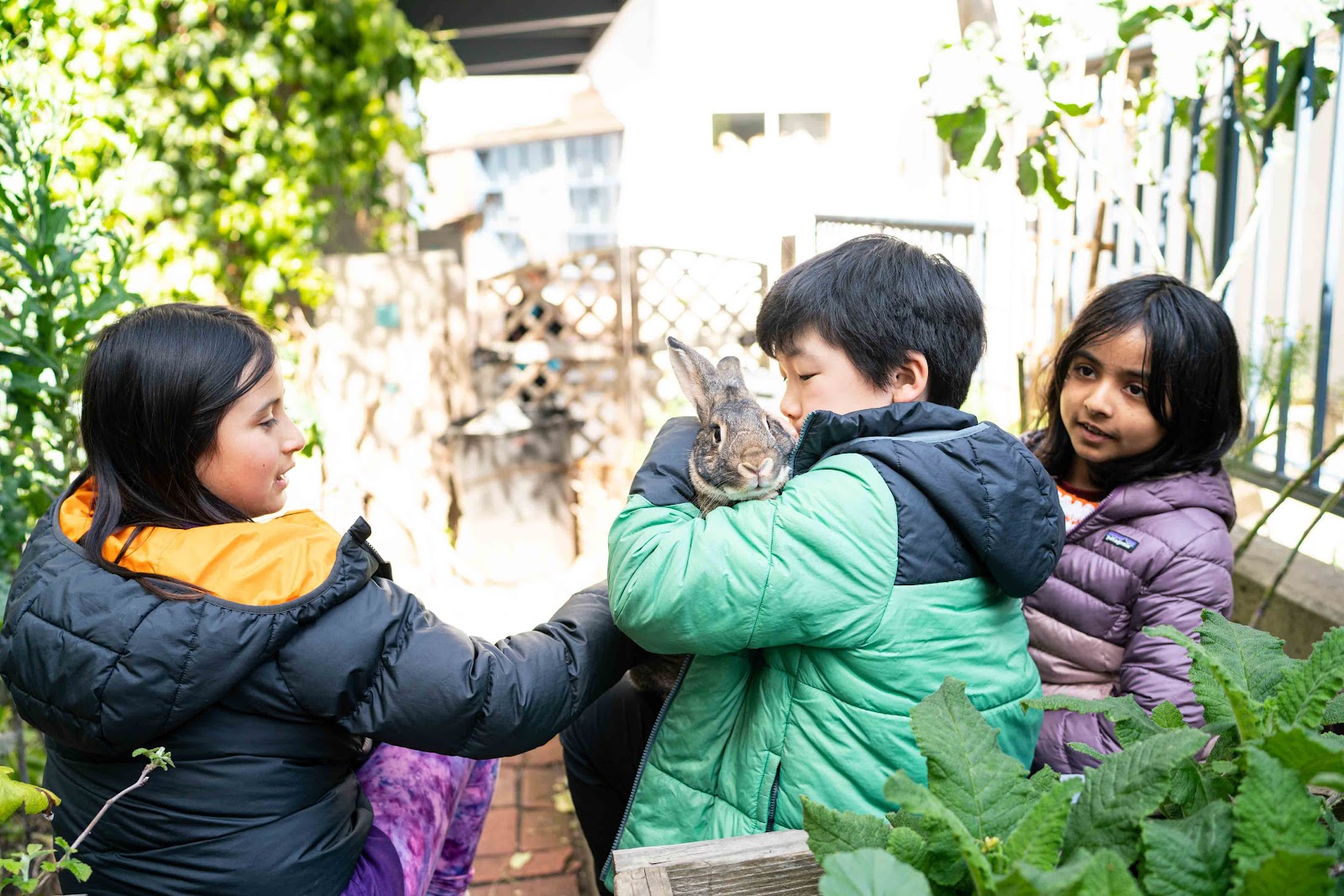 San Francisco Waldorf Grade School