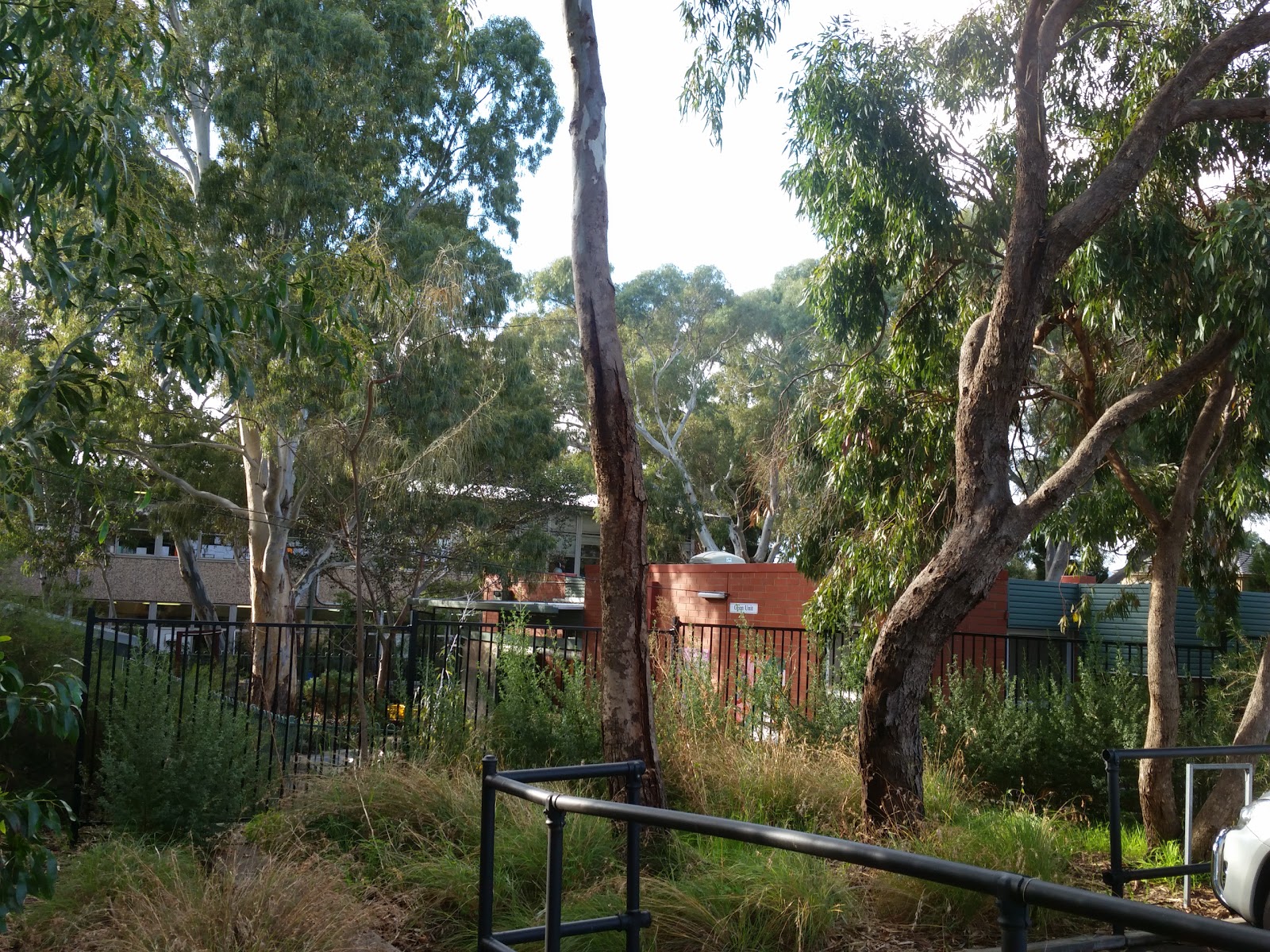 Rostrevor Kindergarten
