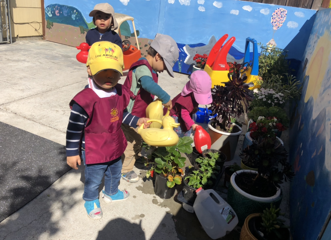 Sunshine Child Care