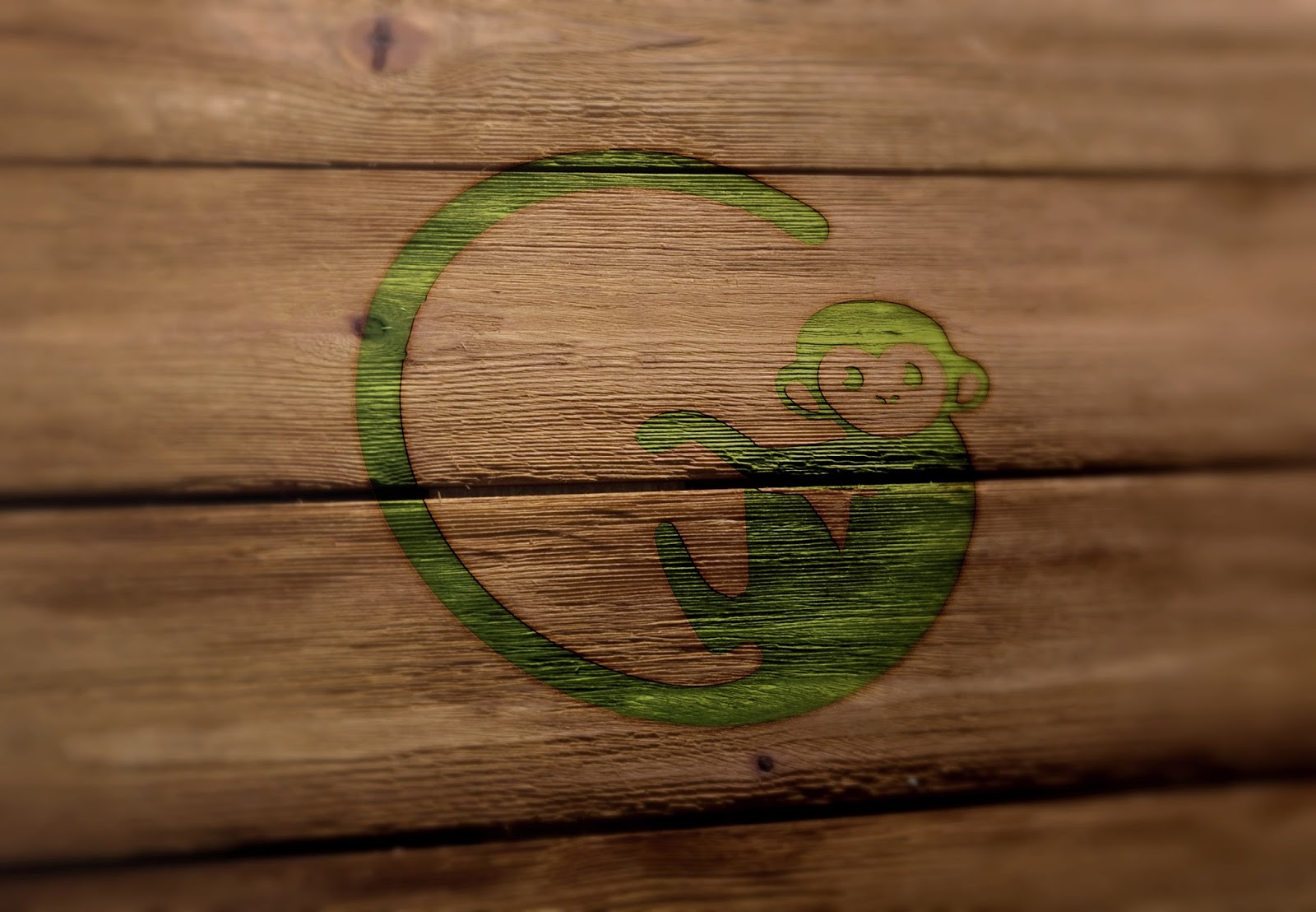 Green Monkey Daycare