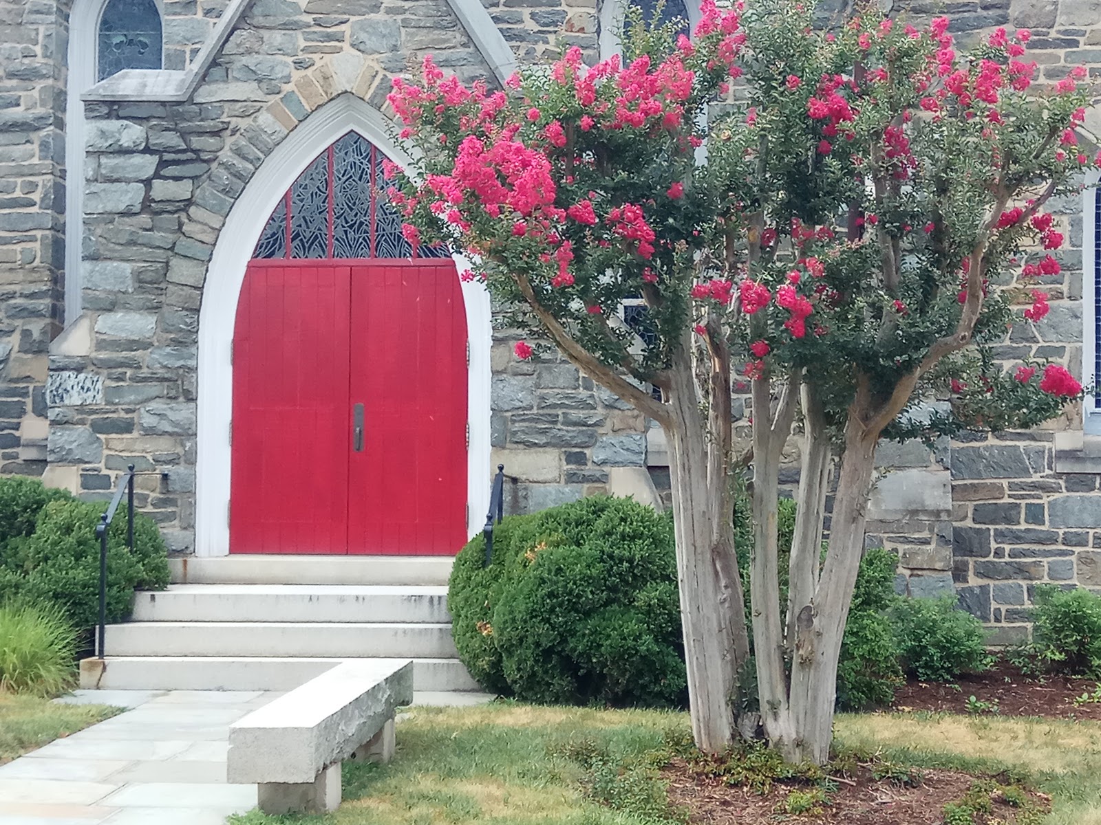 Photo 6