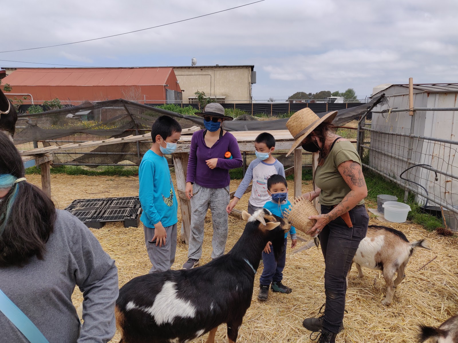 Wild Willow Farm & Education Center