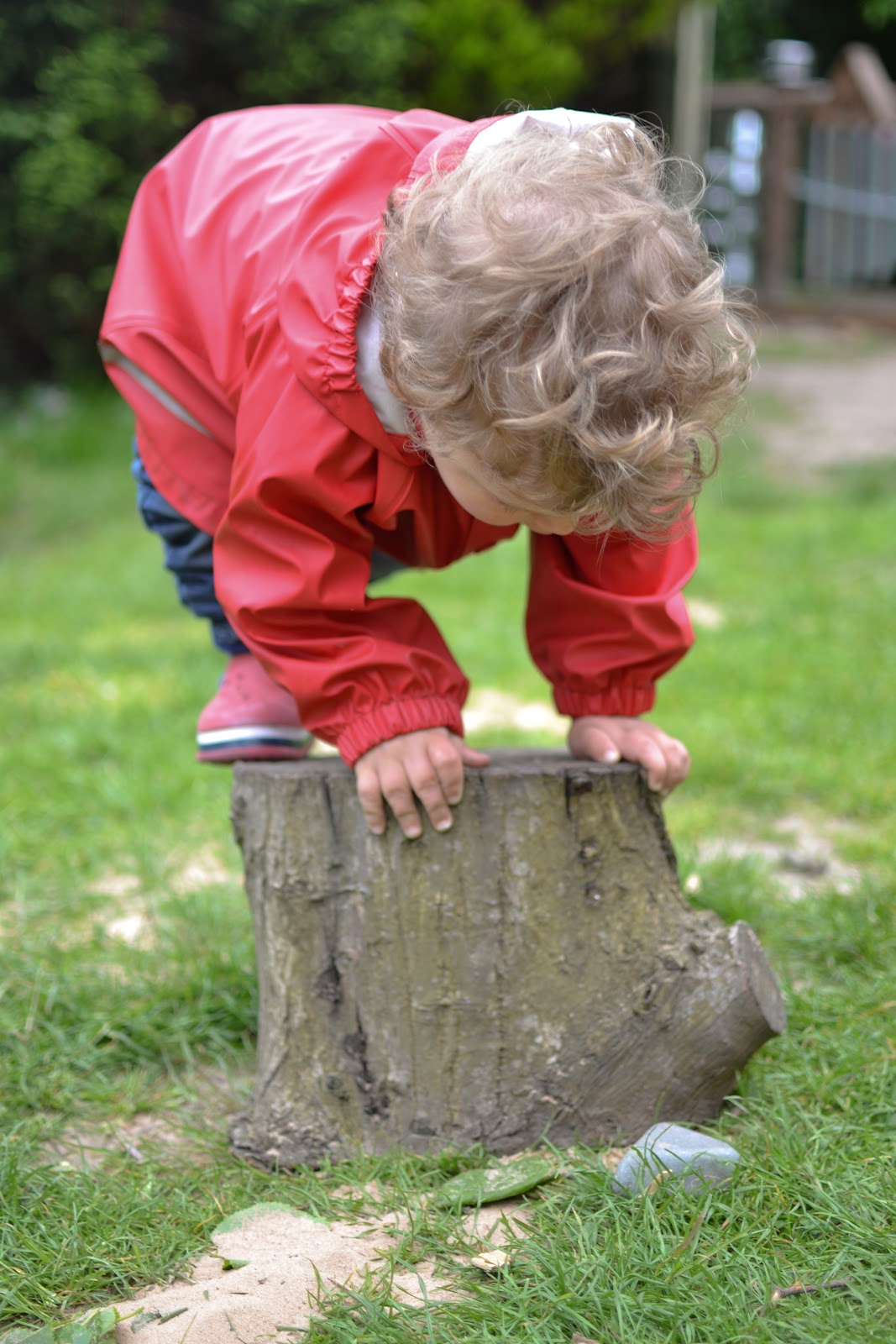 Alexandra Park Children's Learning Community
