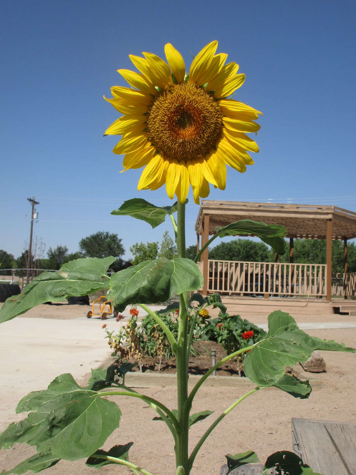 Shepherd of the Valley Preschool