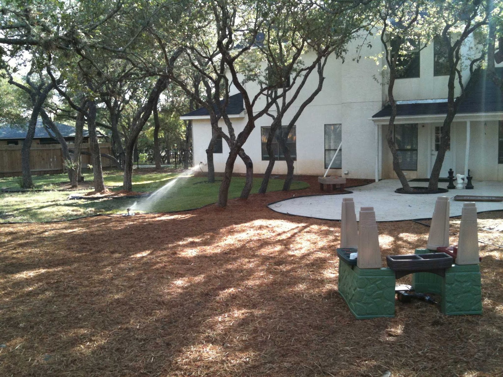 Photo 5