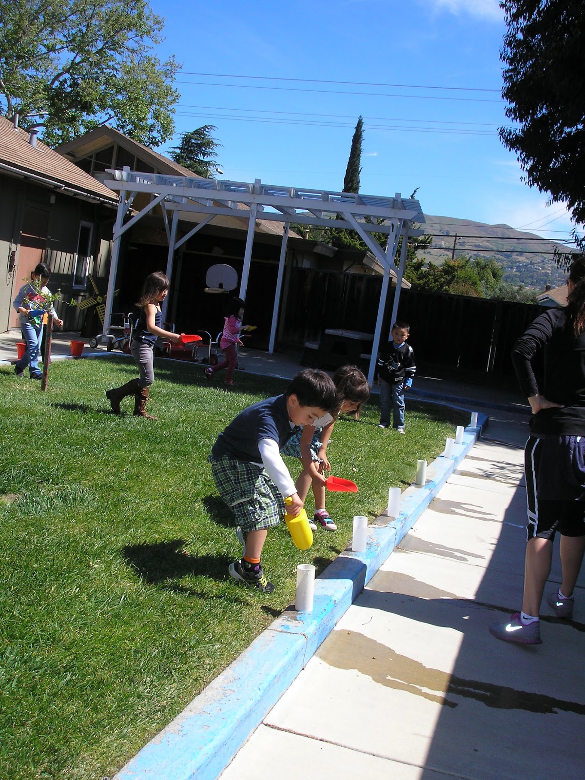 Photo 8