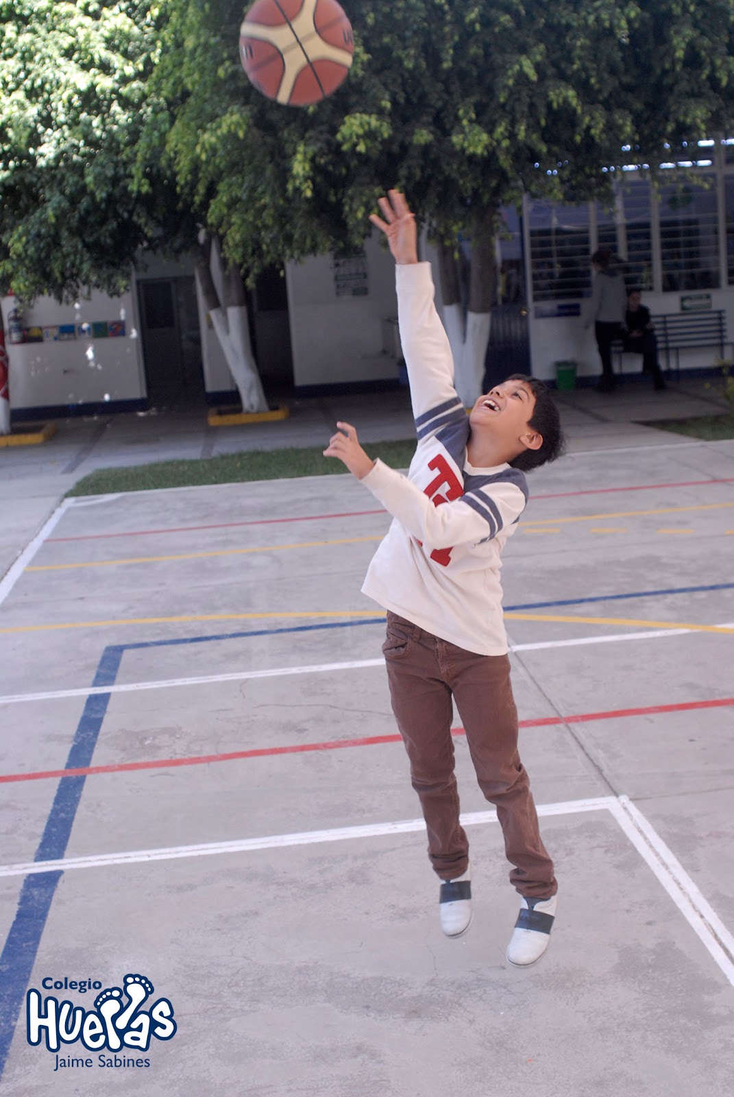Photo 8