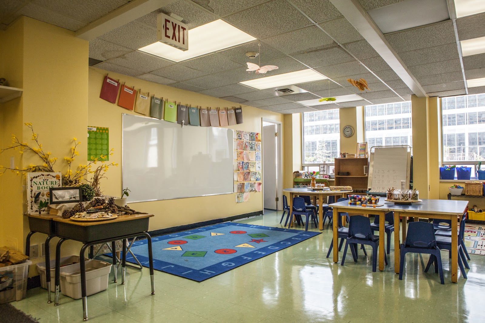 The Rosedale Day School